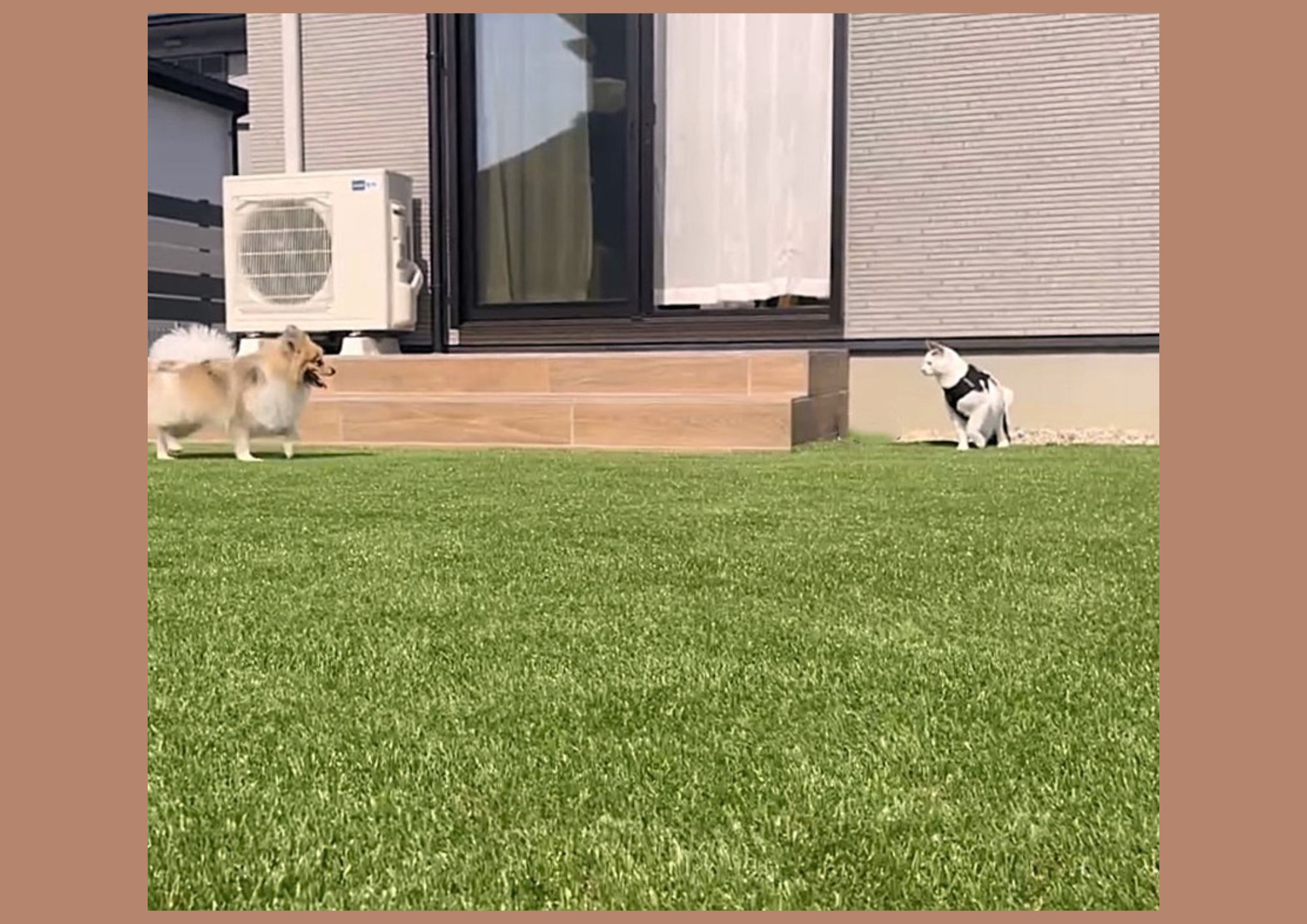愛犬、愛猫が喜ぶ庭づくり 安心して過ごせるポイントを解説 アイキャッチ画像