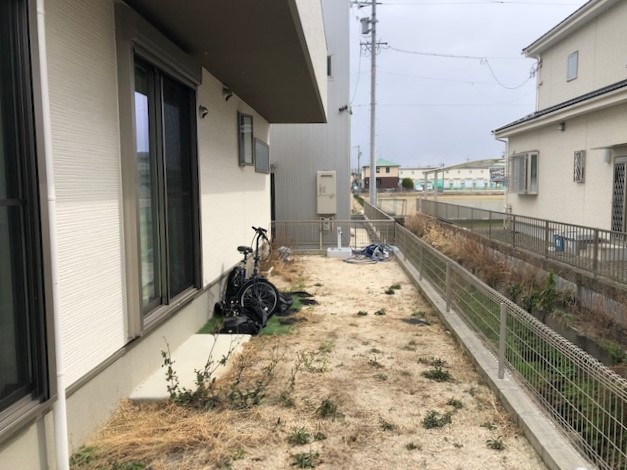 Before画像