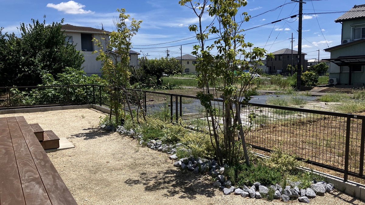 Before画像